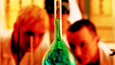 Photo of Pokahontaz RECEPTURA