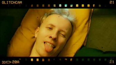 Photo of ZGIETU – SOWA- PROD. DNA