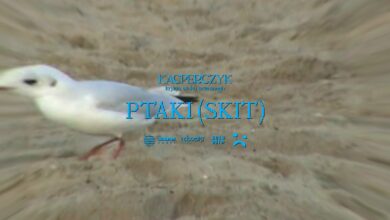 Photo of Kacperczyk – Ptaki (skit)