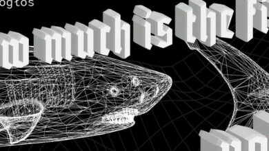 Photo of How much is the fish? // eurodance party! // lista fb free