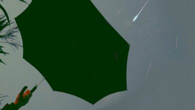 Photo of Przyłu – .wav