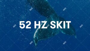 Sokół - 52Hz skit (Official Audio)