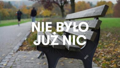 Photo of Sokół – Nie było już nic (Official Audio)