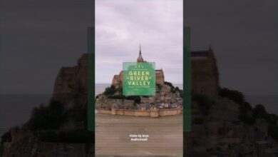 Photo of Ondubground @ GRV Festival 2021