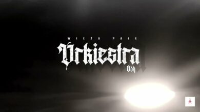 Photo of DUDEK P56 ORKIESTRA / 2021 audio