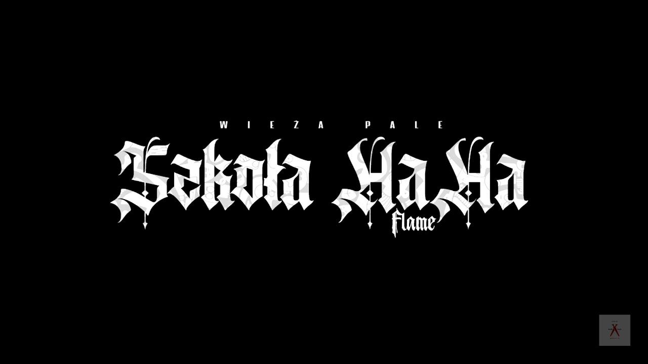 Photo of DUDEK P56 – "SZKOŁA HAHA" (FLAME)