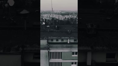 Photo of Dialog 3 is coming. 20.12