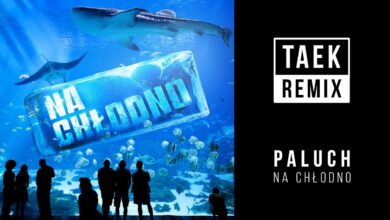 Photo of Paluch – Na Chłodno (Dj Taek Remix)