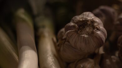 Photo of Boom
Kolejny BIO BAZAR Racibórz dobieg…