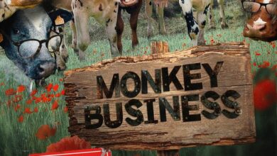 Photo of MONKEY BUSINESS – JABLUNKOV  / ROKÁČ