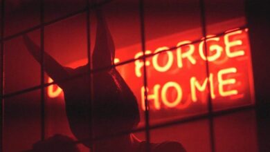 Photo of Follow White Rabbit czyli Święta Wiel…