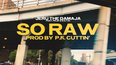 Photo of Jeru the Damaja feat. Peja & O.S.T.R. – So Raw (PL)