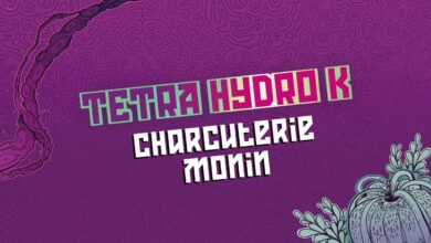 Photo of Tetra Hydro K – Charcuterie Monin (Official Audio)