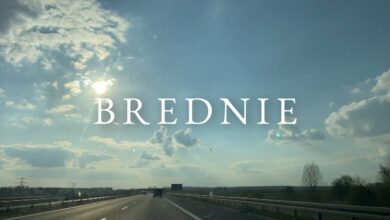 Photo of ŻABICKI – Brednie