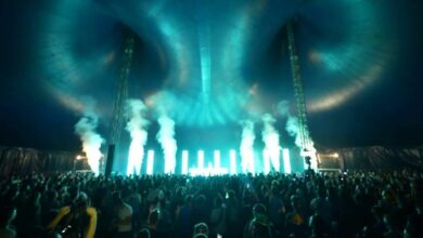 Photo of EDM & TRANCE bull in action again!…