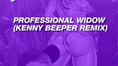 Photo of Professional Widow (Kenny Beeper Remix)