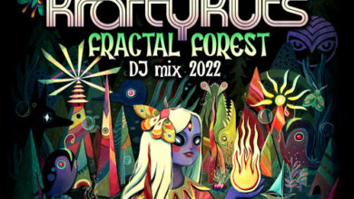 Photo of Shambhala Fractal Forest Mix