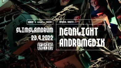 Photo of SSD w/ Neonlight (DE) & Andromedik (BE) @ Fabric Ostrava