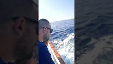 Photo of #SHORTS DUDEK I CZAHA POZDRAWIAJĄ Z UPALNEJ CHORWACJI !!!