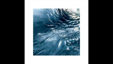 Photo of Alix Pilot  – Cave  [Full EP]