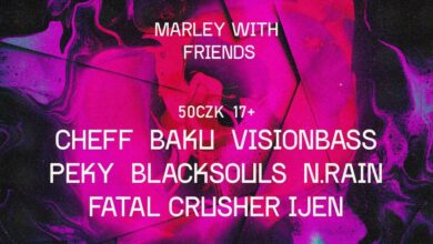 Photo of Marley with Friends