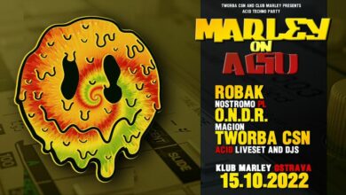 Photo of Marley on Acid