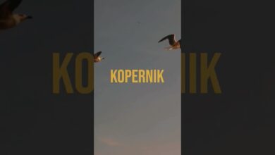 Photo of ONDUBGROUND X SUMAC DUB "KOPERNIK" SOON OUT