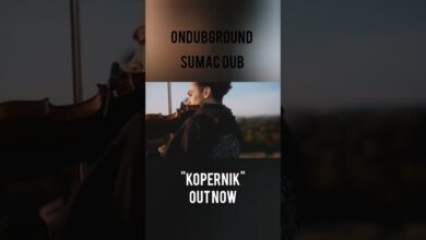 Photo of New track & Videoclip feat. Sumac Dub!