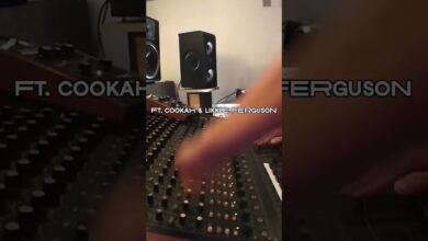 Photo of Upcoming release! Roots Raid – Nuit Blanche LP – Out november 25th