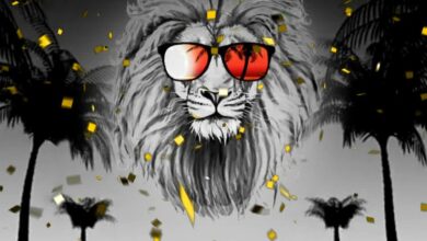 Photo of Lew jest król dżungli i świętuje w najbl…