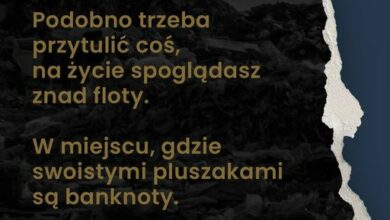 Photo of Spoko cytat?
 W ostatnim singlu 21NADOBE…