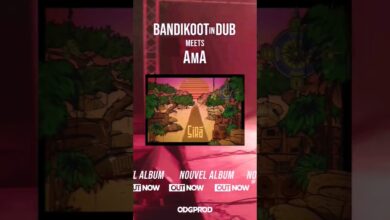 Photo of Bandikoot in Dub meets AMA „Sira”