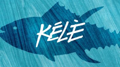 Photo of Bandikoot in Dub meets AMA – Kelé  [Music video]