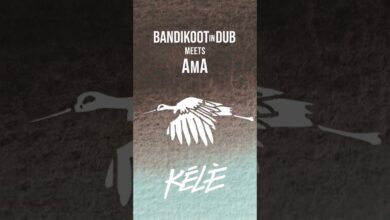Photo of Bandikoot In Dub meets AMA „Kélè”