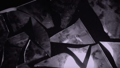 Photo of O.S.T.R. – MIŁOŚĆ Z URZĘDU