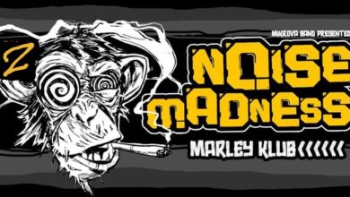 Photo of NOISE MADNESS #2