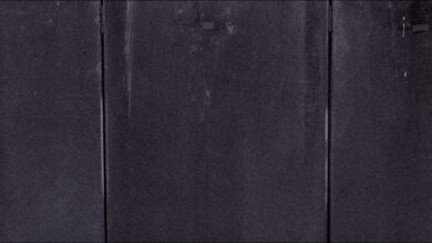 Photo of O.S.T.R. – BLUE SCREEN ZOMBIES – feat. Mor W.A.