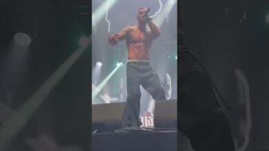 Photo of Peja – Mój rap moja rzeczywistość live GLIWICE (25/03/23)