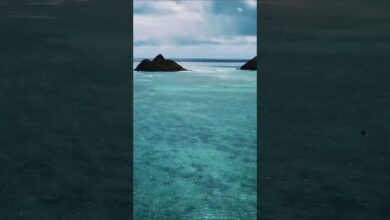 Photo of Sam kreujesz swoją rzeczywistość !!