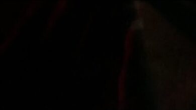 Photo of Wwa PEJA GANDZIOR V2 live