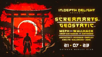 Photo of IN:DEPTH DELIGHT with Screamarts & Geostatic