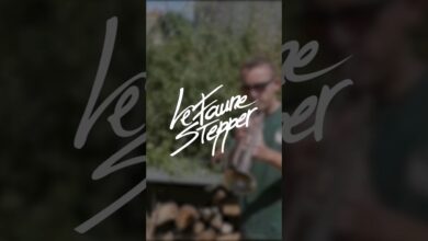 Photo of OUT NOW – Le Faune Stepper „Balkan Step”