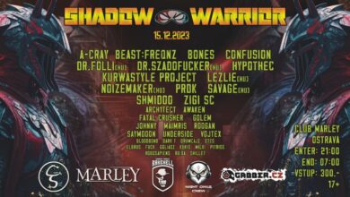 Photo of Shadow Warrior