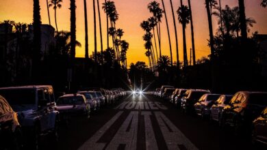 Photo of ŚLIWA – Koniec Lata (prod. LEŚNY)