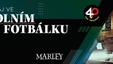 Photo of Marley CUP No.3