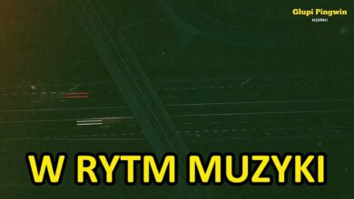 Photo of Korki – Glupi pingwin