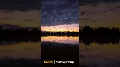 Photo of Korki – Martwy trap