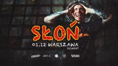 Photo of Słoń • Warszawa• Remont