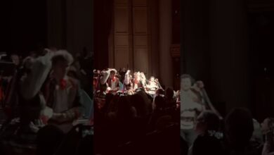 Photo of Los Angeles dziękuję za to wspaniałe przyjęcie filmu „Chłopi”! #chłopi #luc #rebelbabel #folk