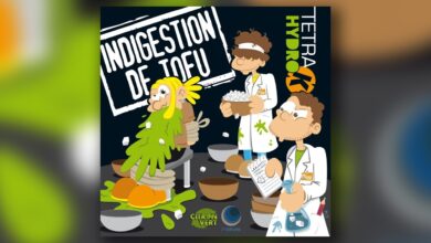 Photo of Tetra Hydro K – Indigestion De Tofu (Official Full EP)